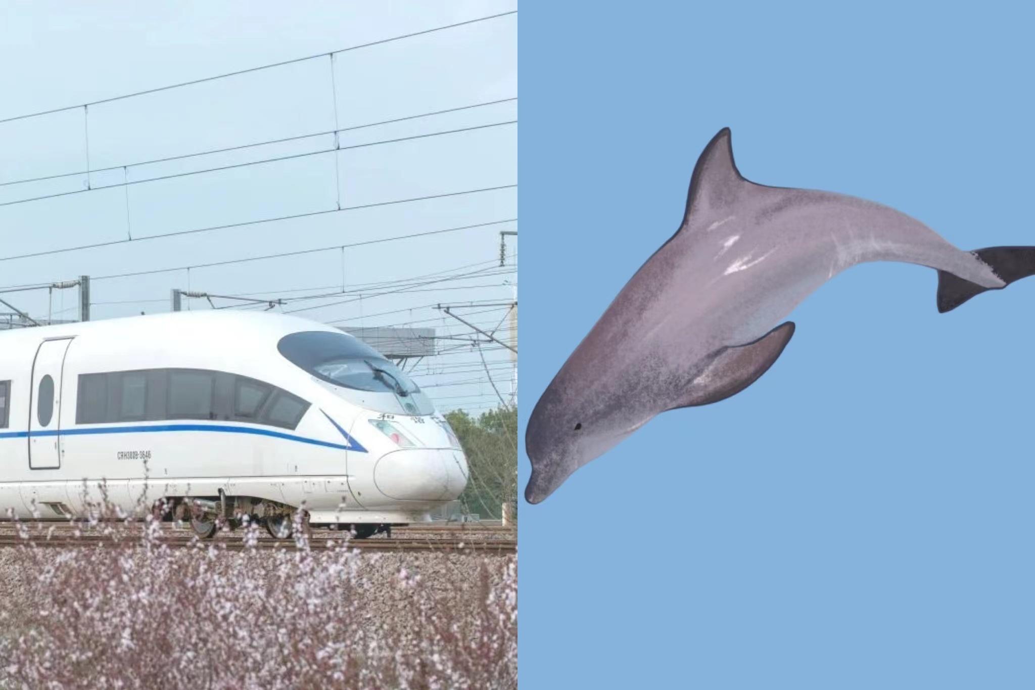 铁路上的"仿生学"设计,你见过吗? - 知乎