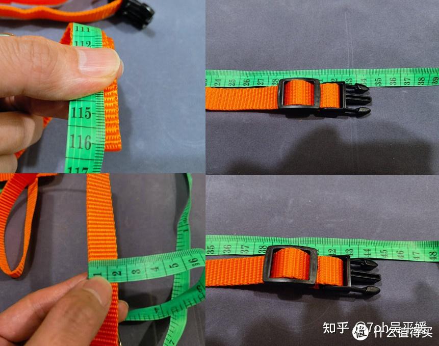 猫咪戴哪种牵引绳比较舒服