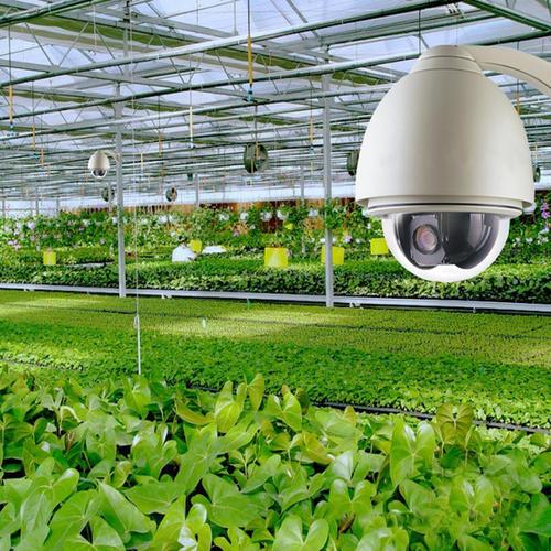 农业物联网高科技里面的温室大棚一探究竟