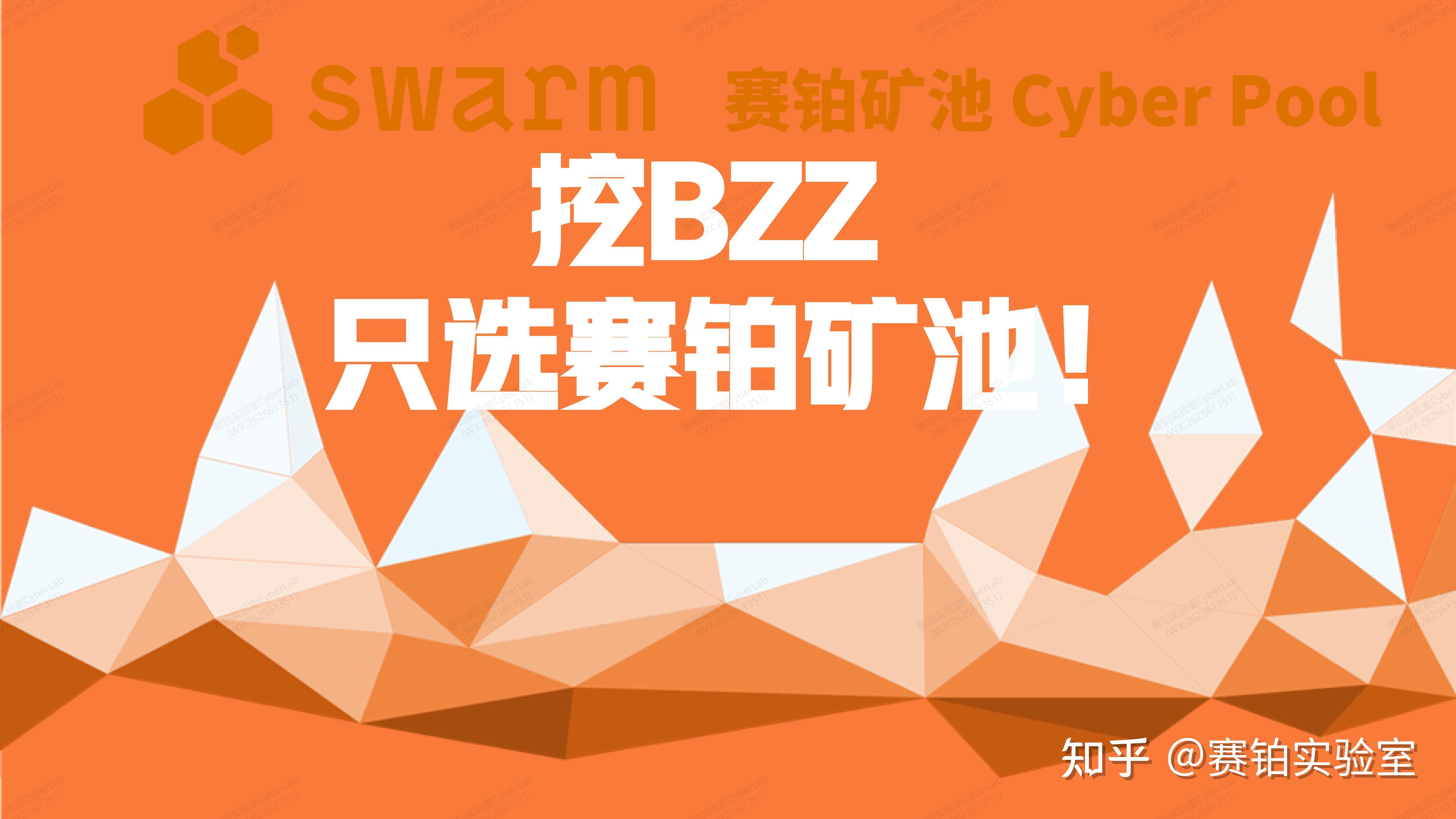 赛铂实验室swarmbzz小白必读