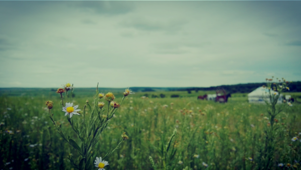 如何需找靠谱的青旅来做义工? - 旅游 - 知乎