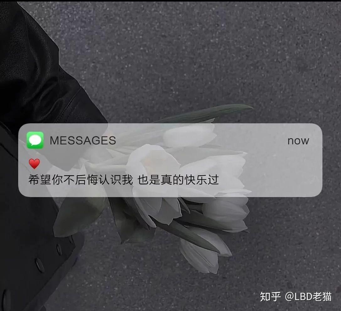 有什么「满是遗憾」的文案句子值得分享? - 知乎