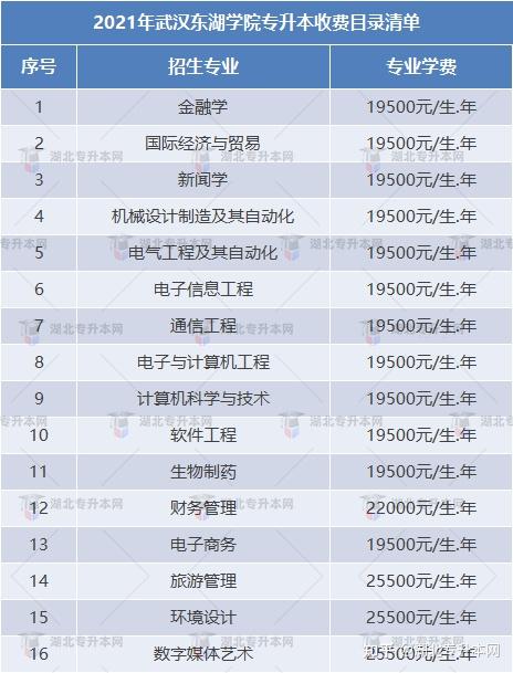 擇校攻略武漢東湖學院一流民辦院校條件優渥