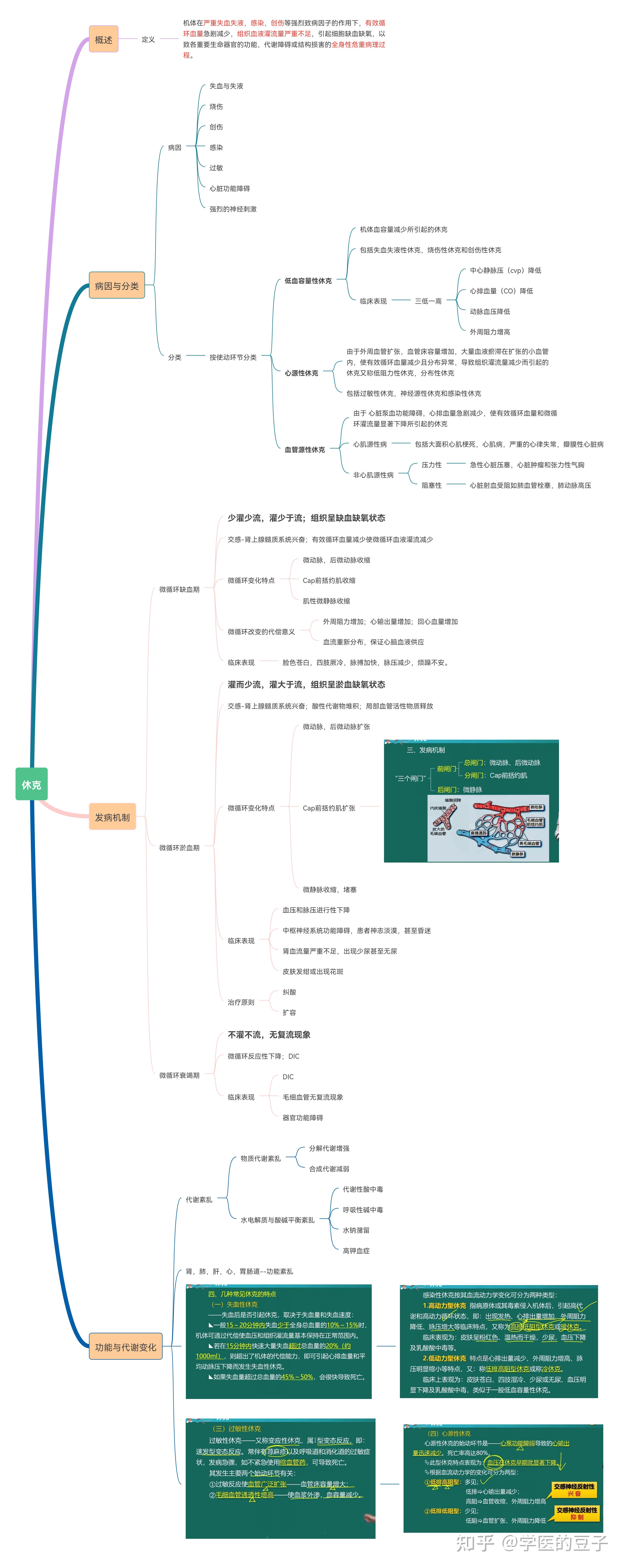 病理生理學(景晴版)思維導圖 - 知乎