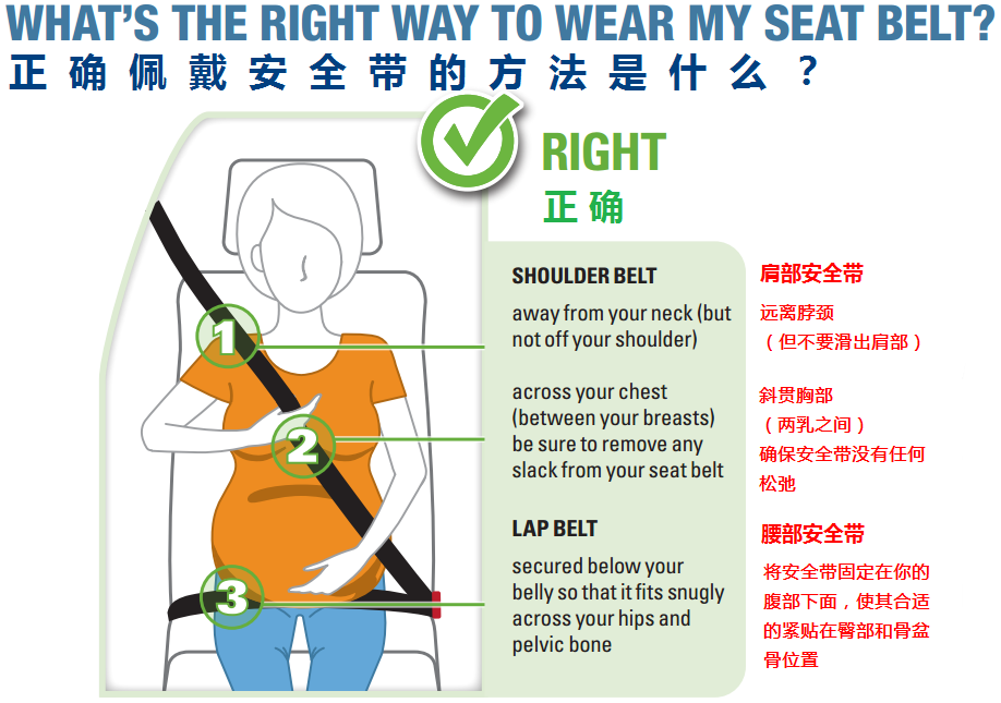 孕妇需要系安全带吗?如何正确佩戴安全带