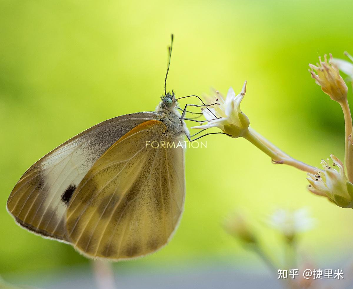 12-40-f2-8-pro-12-45-f4-pro