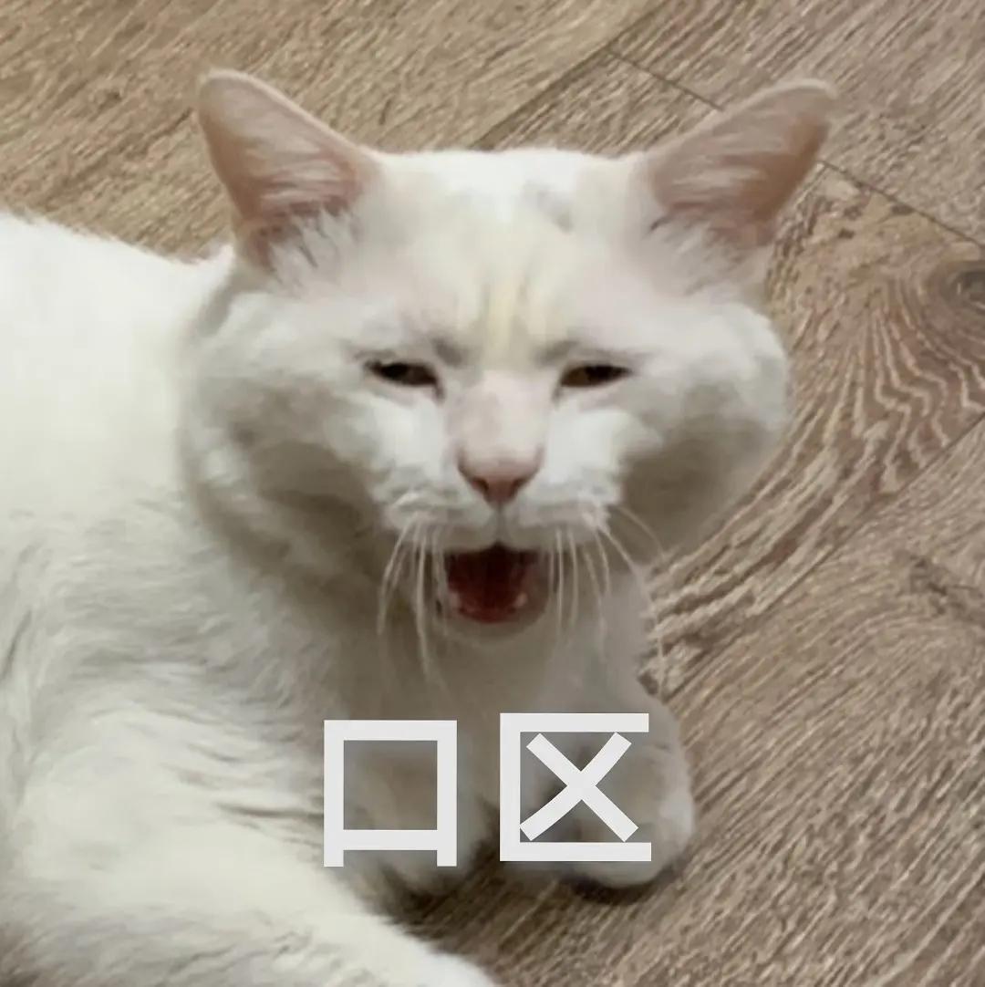 全世界最丑的猫都在这了，笑到飙泪！！！ - 知乎