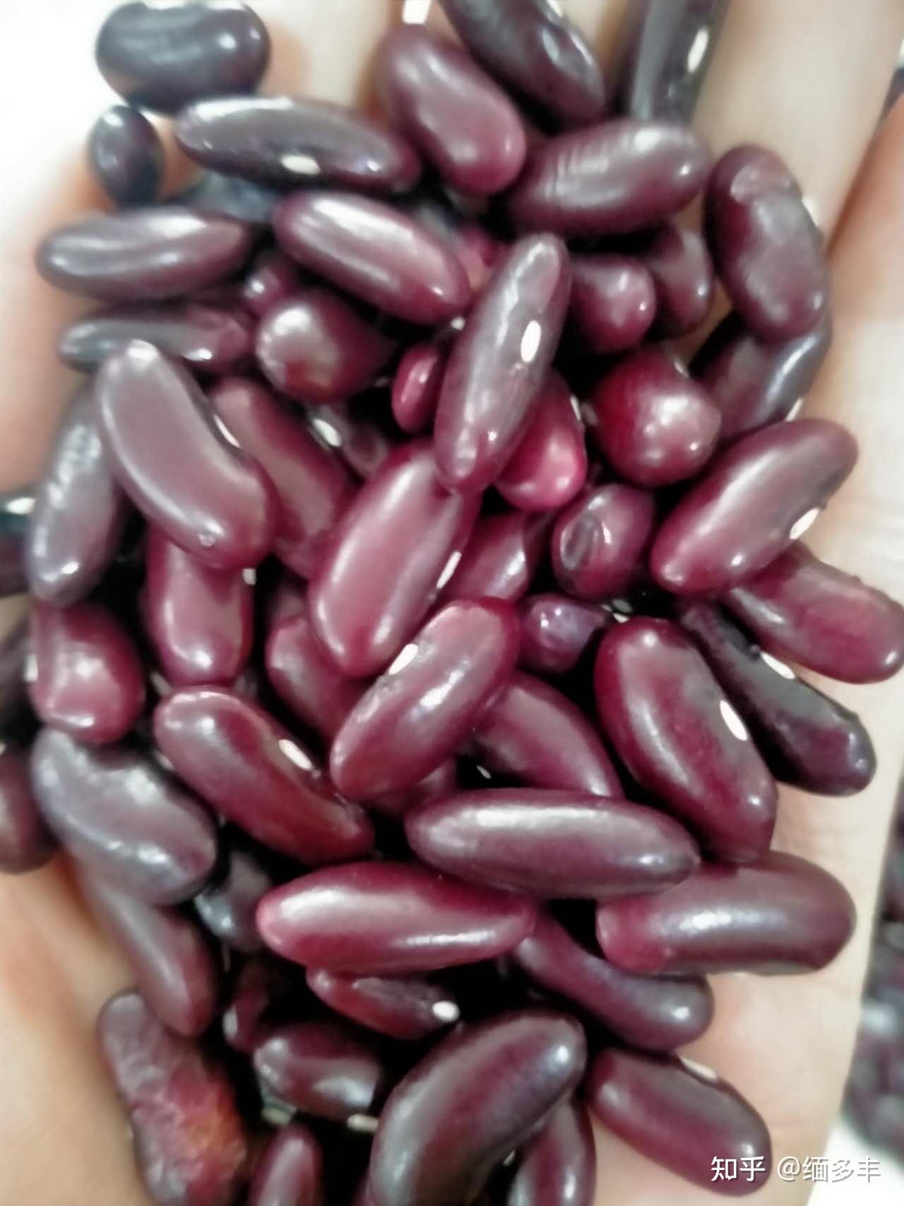 香酥红腰豆怎么做_香酥红腰豆的做法_豆果美食
