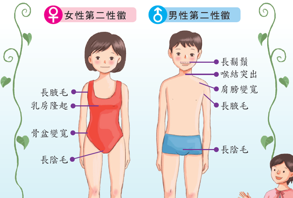 发现小孩在手机上搜索性知识我该如何给小孩进行正确的性教育