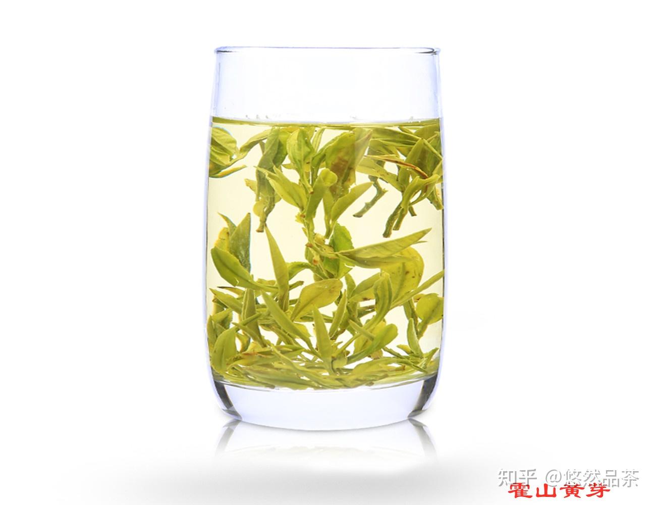 细说黄茶之3大精品→黄芽茶→君山银针,霍山黄芽,蒙顶黄芽 知乎