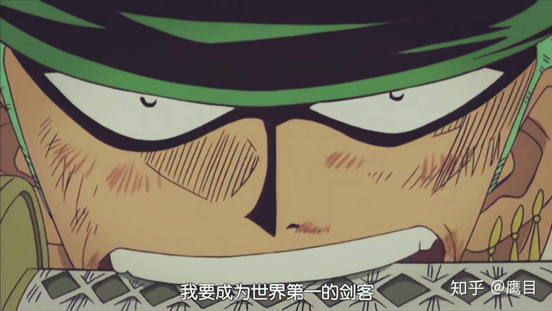 海贼王动画20周年一路相伴一路有你talkop论坛海贼王动画20周年征文