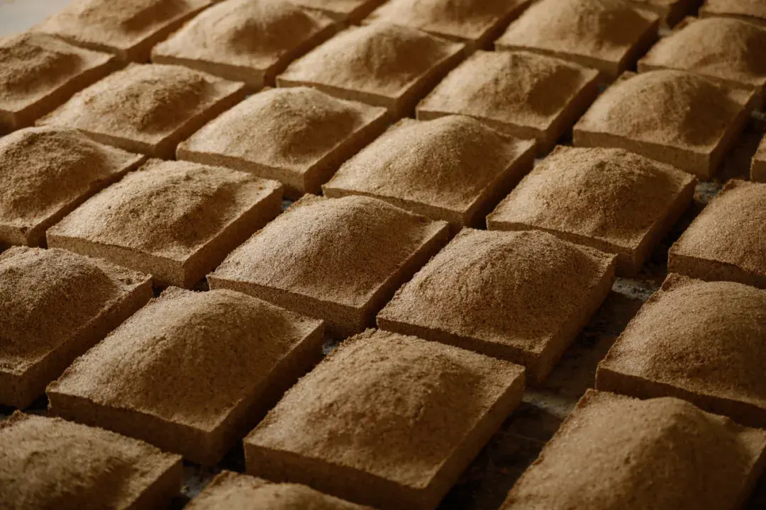 用中原冬小麦制曲曲块通透性好,制曲过程中曲胚易成型,且不易碎.