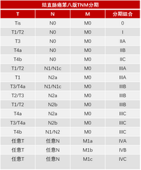 结肠癌tnm分期图片