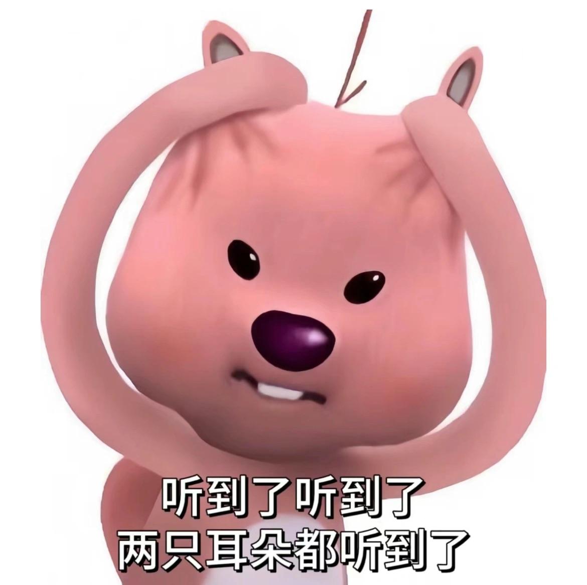 可以给我看看你的小海狸loopy的表情包吗