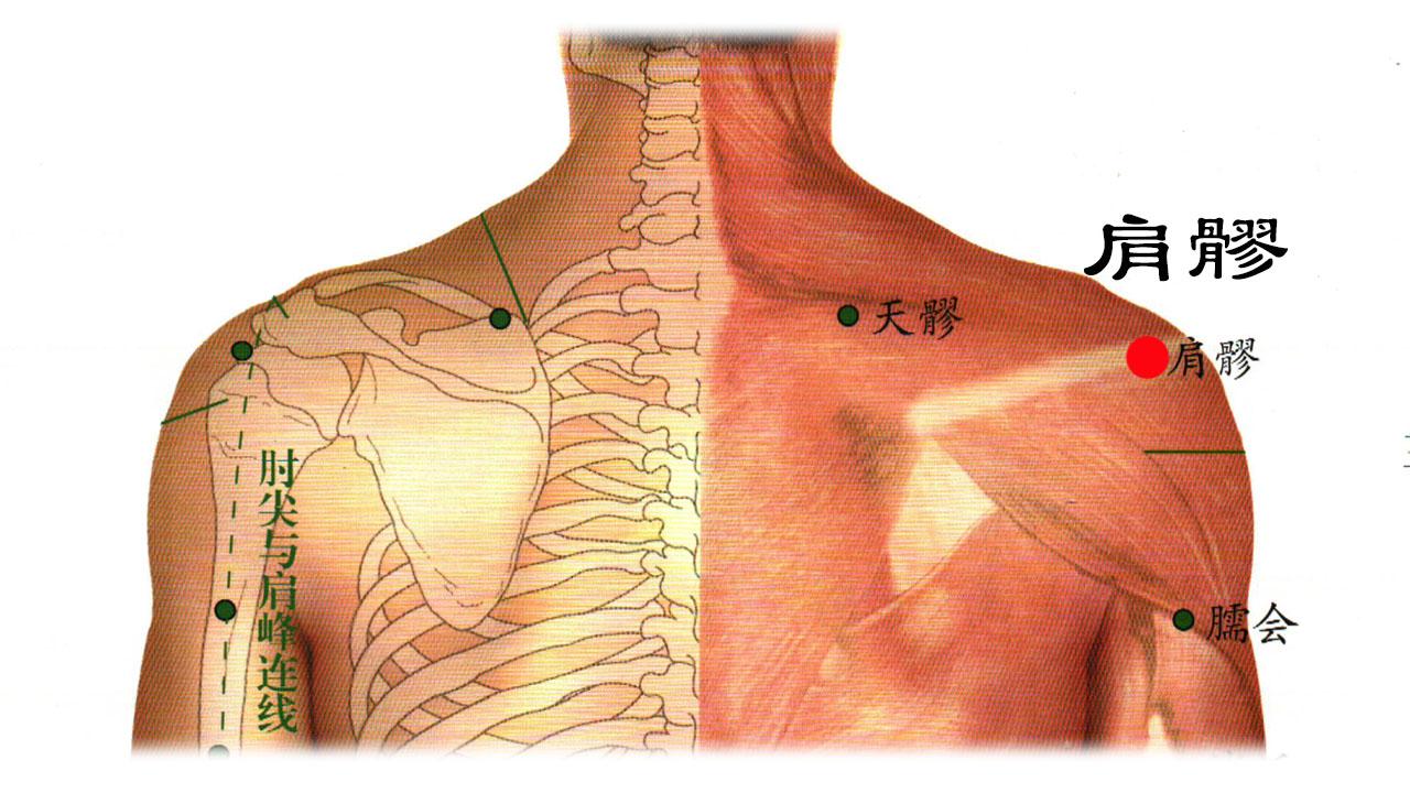 肩周炎给生活带来极大的不便该如何通过艾灸来调理肩周炎呢