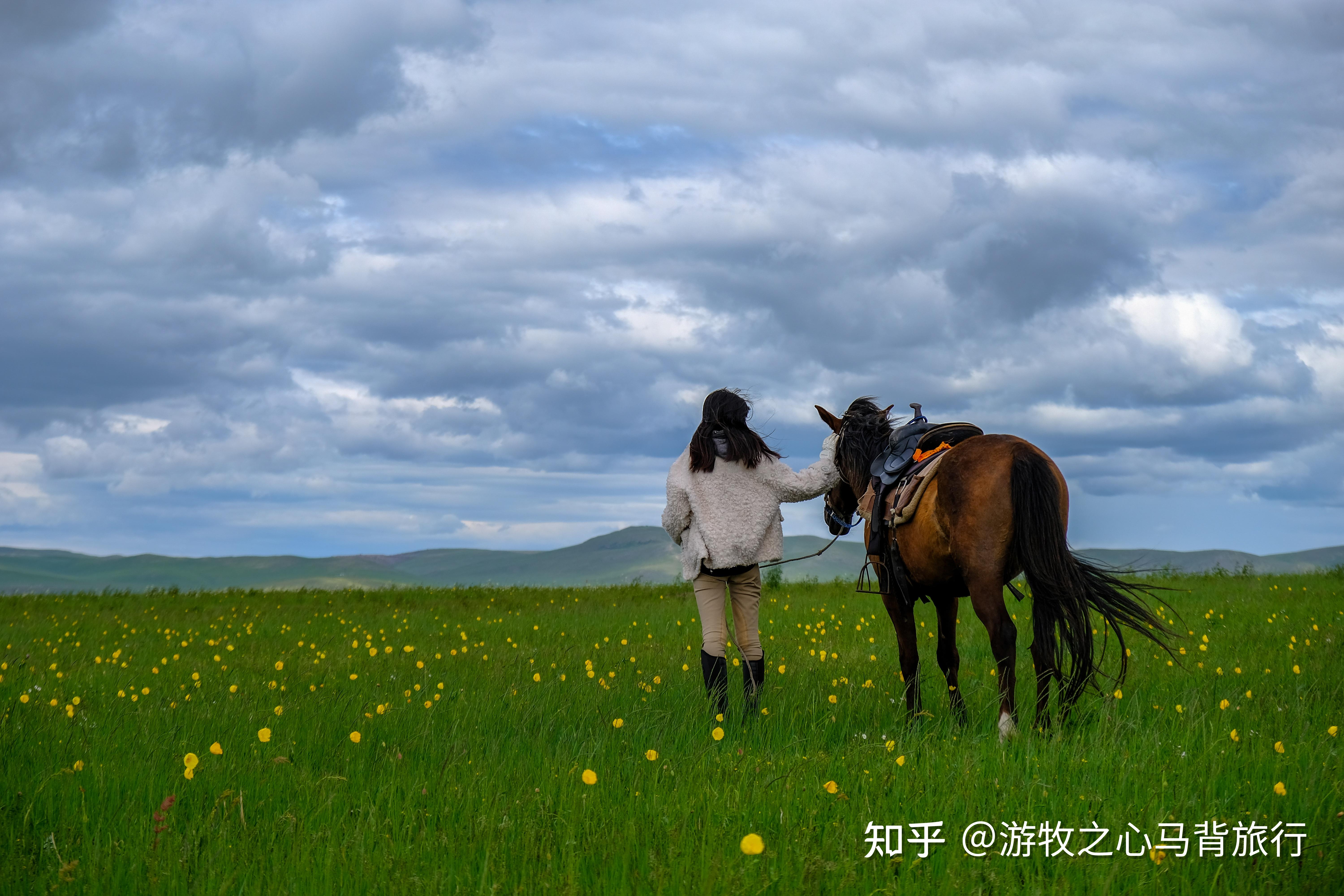 草原美女骑马背影图片图片