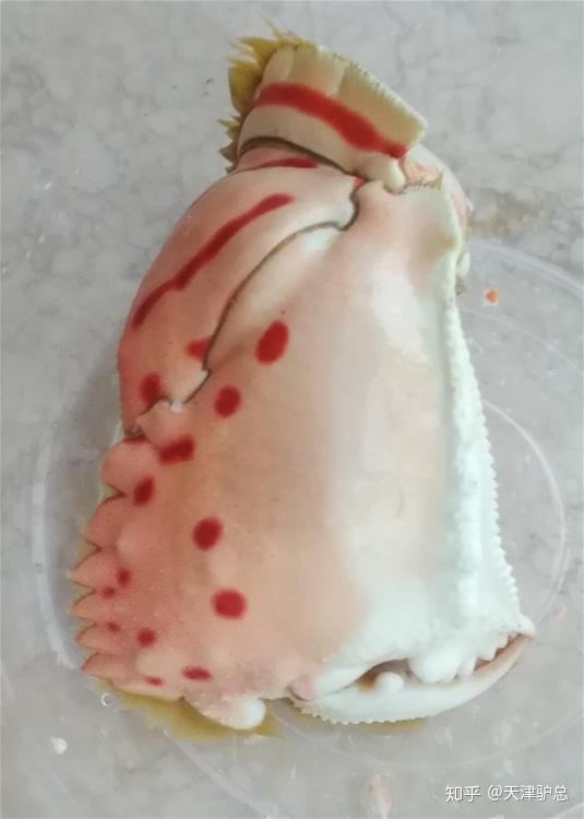 馒头蟹野和乐蟹海南91