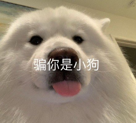 明年沙雕文案,明年沙雕文案图片