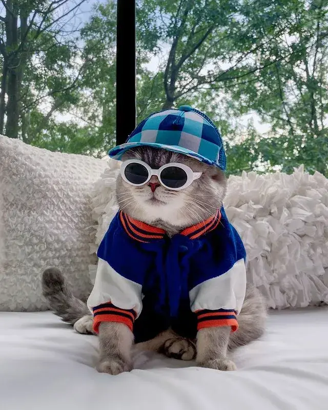 最潮最火的猫咪甜美与帅气的时尚穿搭绝对是整条街最靓的仔