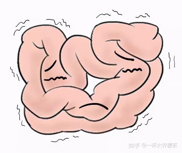 知道为什么你皮肤暗黄无神吗根源就是肠道不通及时地清肠非常有必要