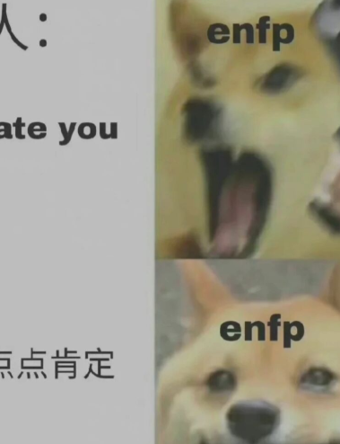 浅聊一下ENFP快乐修狗 - 知乎