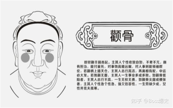 天庭骨位于发际,天庭的下方,额头的上半部.