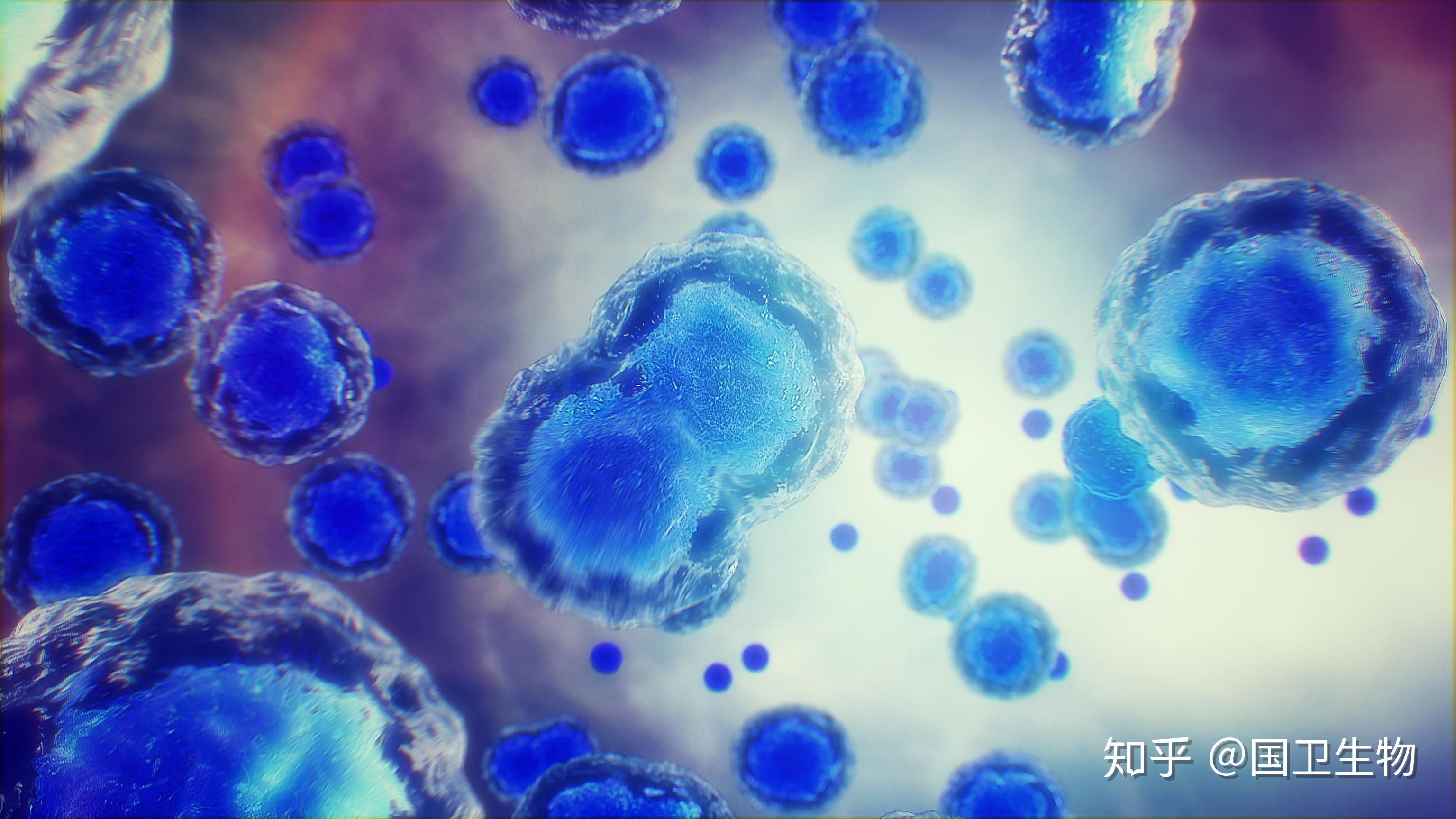 我国首个多能干细胞来源的细胞药物有望走进寻常百姓家半月板损伤干