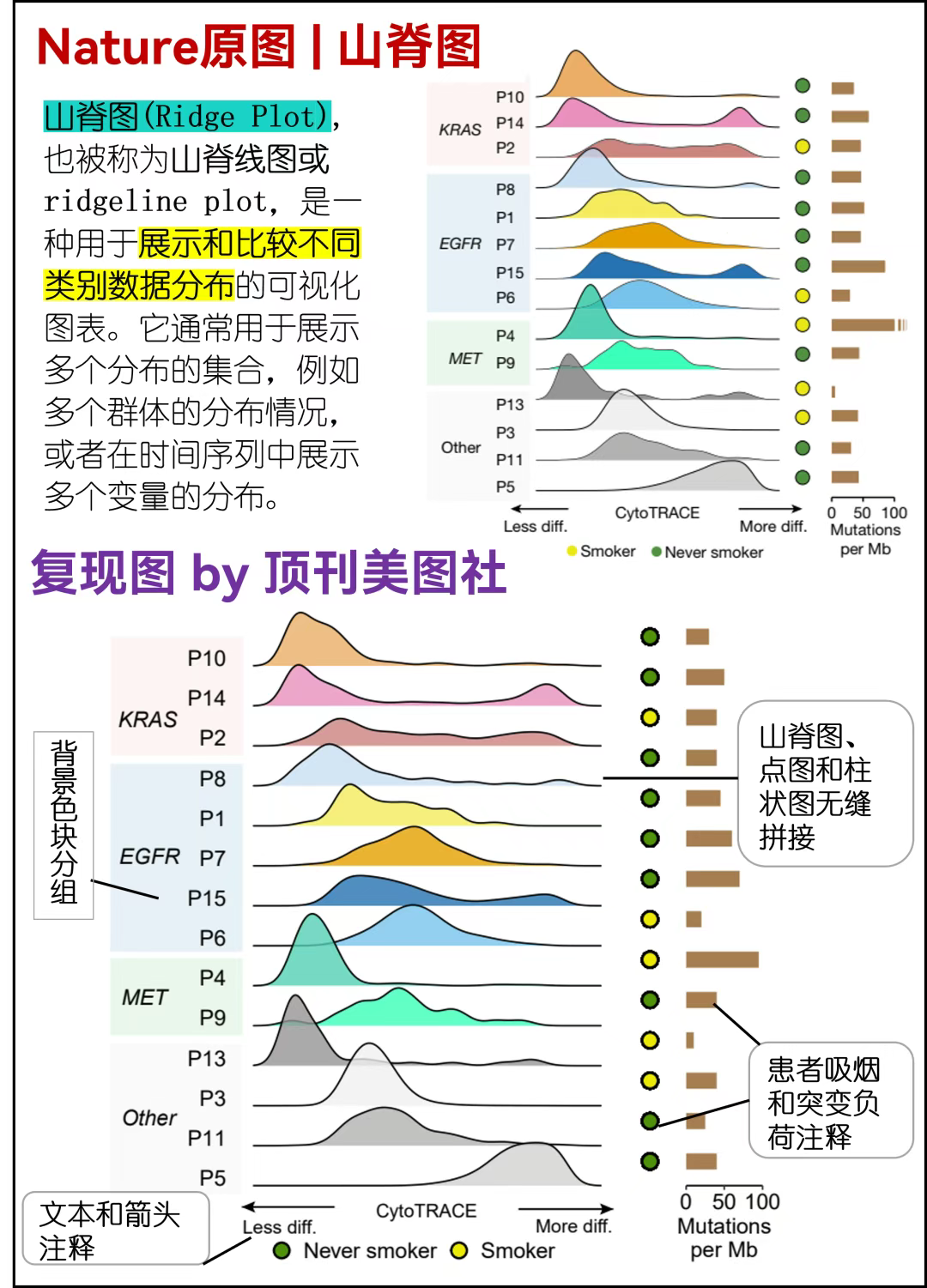 顶刊美图社 | 第1-20期 | 复现汇总 - 知乎