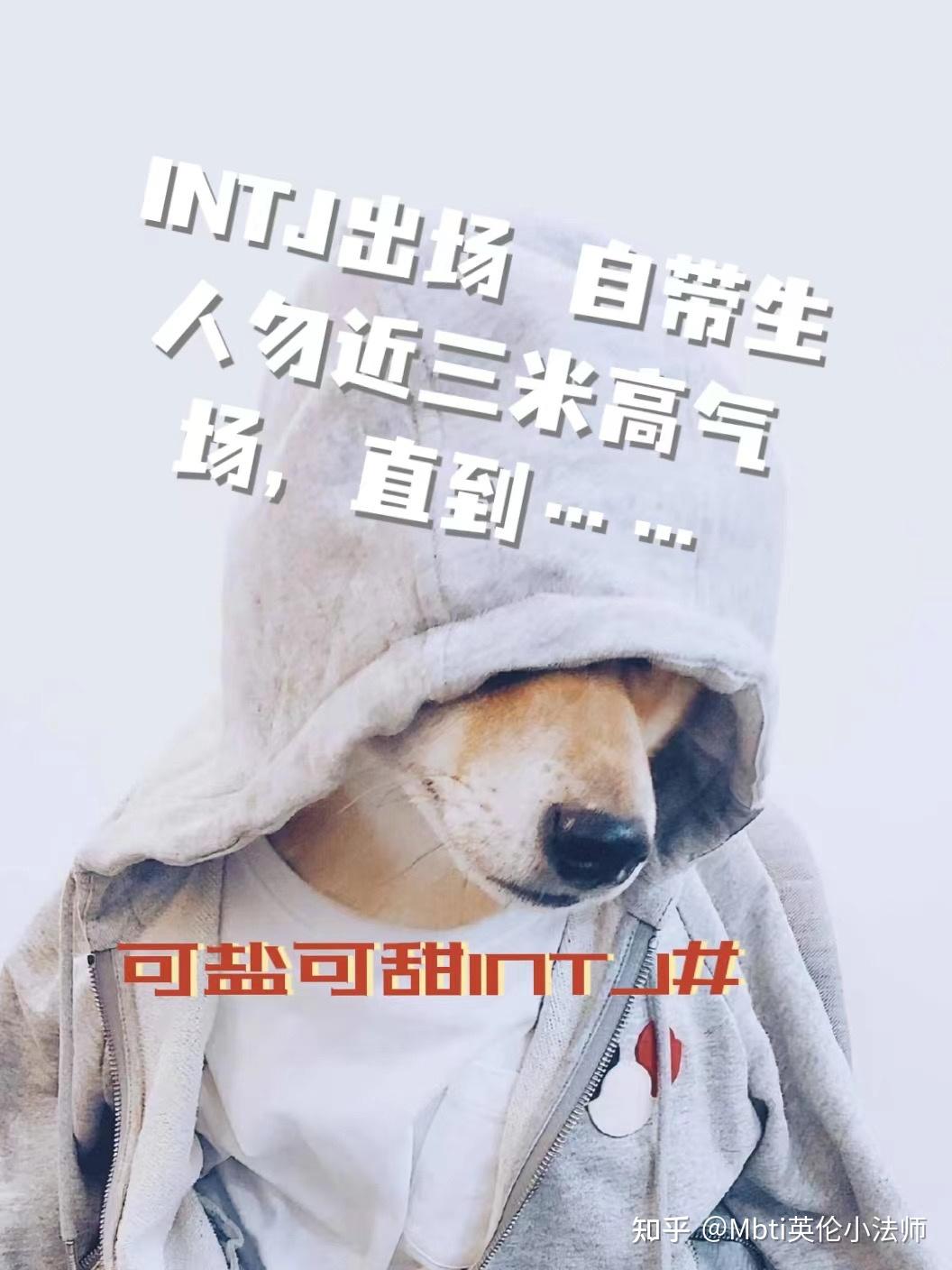 intj出场自带生人勿近