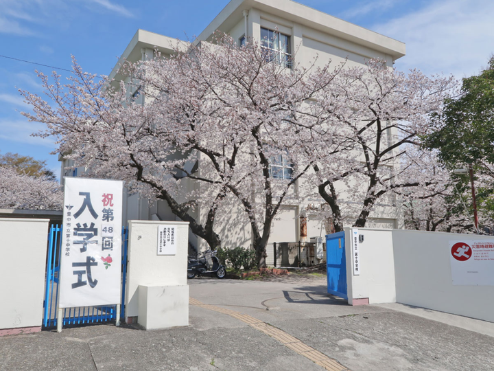 日本留学 | 日本的学校为什么是4月开学?