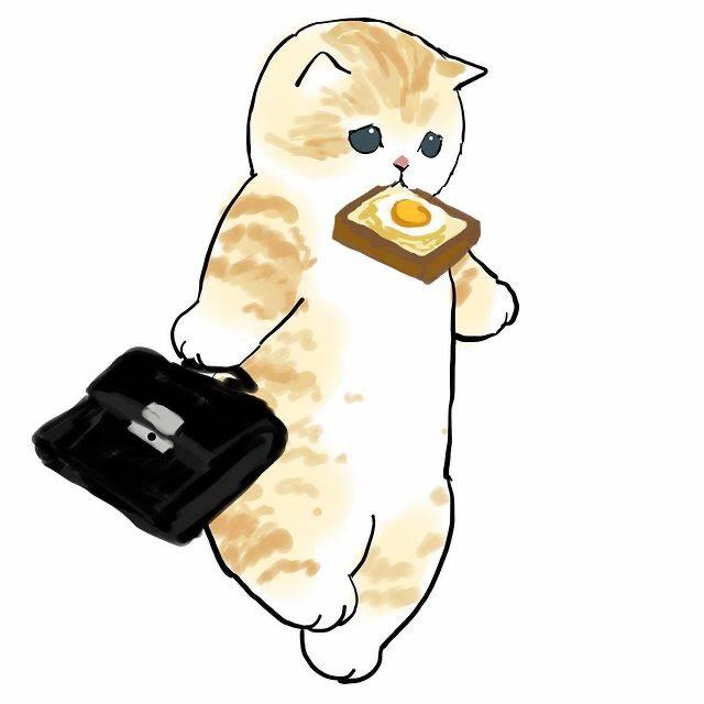 158张网红量腰围猫最全合集图