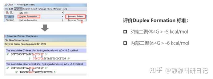 使用oligo7.0设计引物、评价引物以及如何尽量避免二聚体/发卡结构的产生 - 知乎