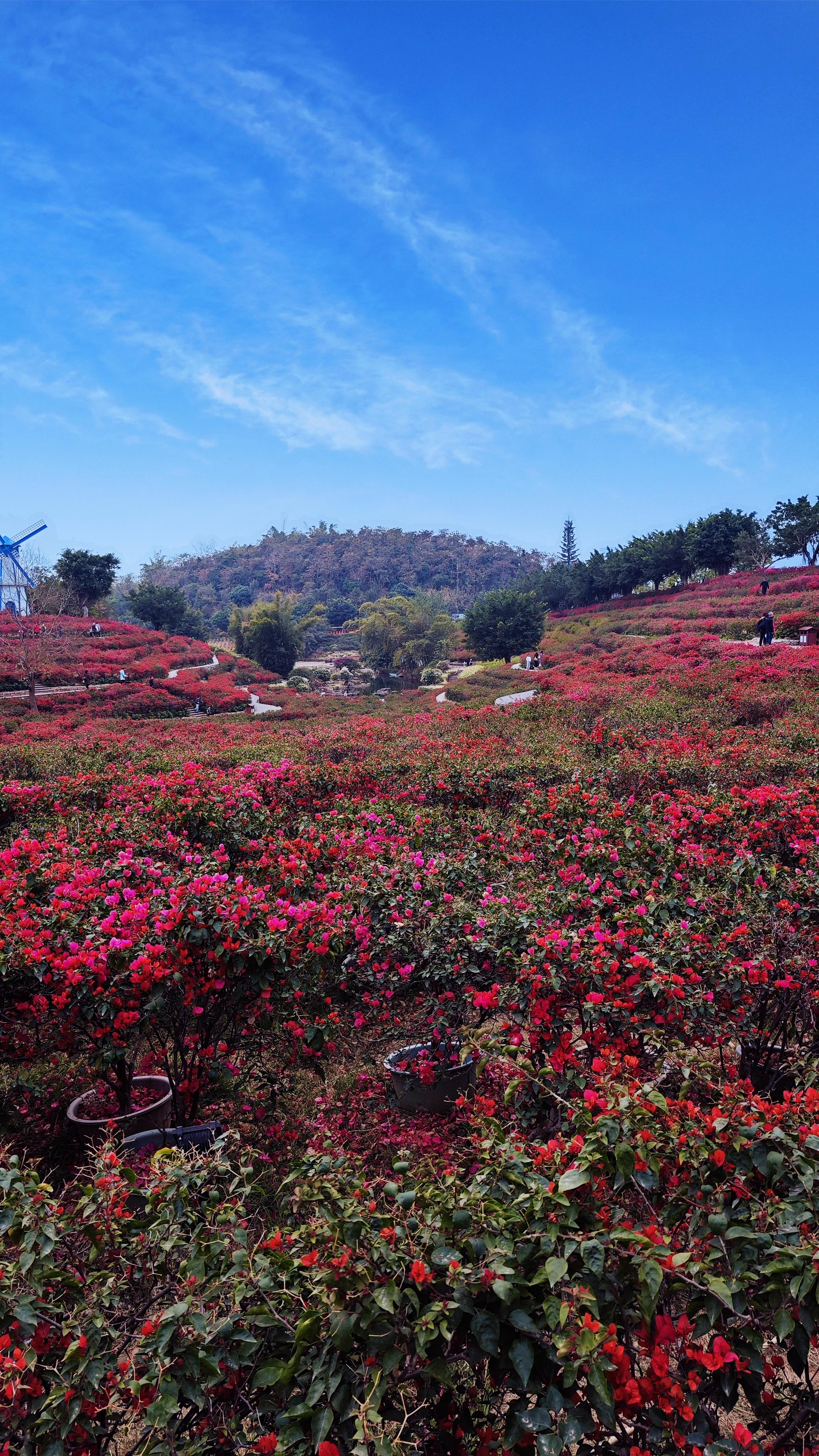心情不好的时候你们都是怎么缓解的啊?