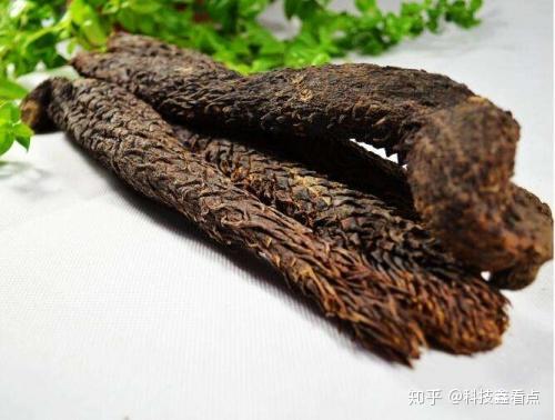 肉苁蓉巴戟天泡酒配方大全肉苁蓉巴戟天泡酒的做法