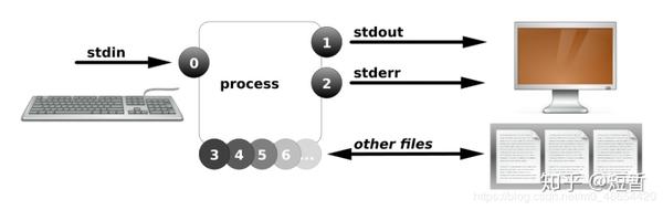 Linux系统重定向与管道 知乎