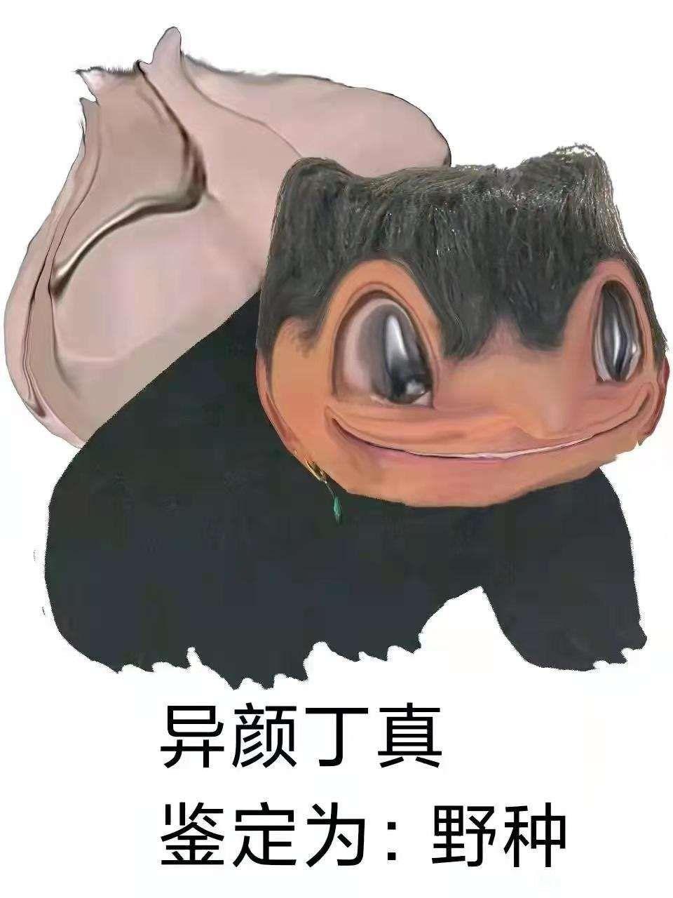 求一眼贴吧丁真表情包? - 知乎