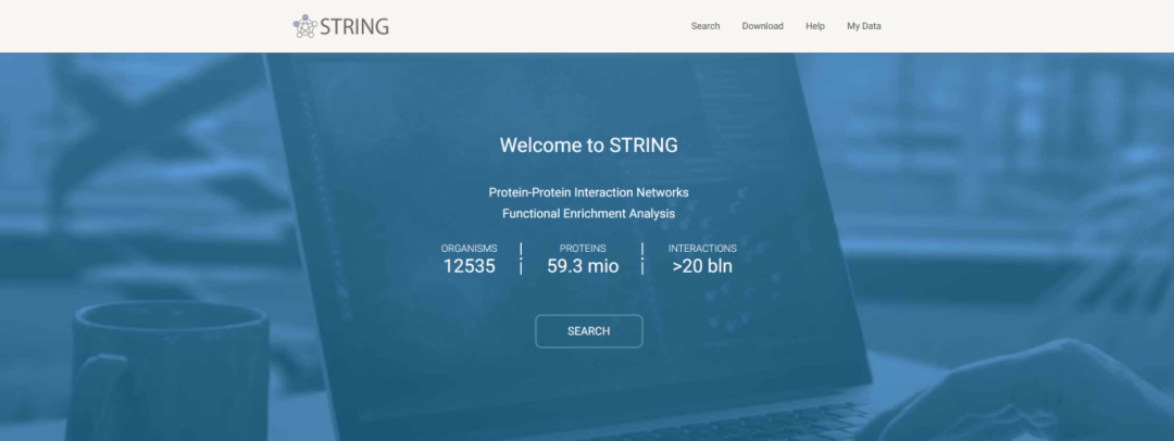 蛋白质相互作用网络功能富集分析 | STRING数据库 - 知乎