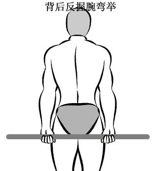 动作4 背后反握腕弯举