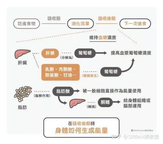 开始生酮前,请了解身体运作。别对身体耍流氓 - 知乎