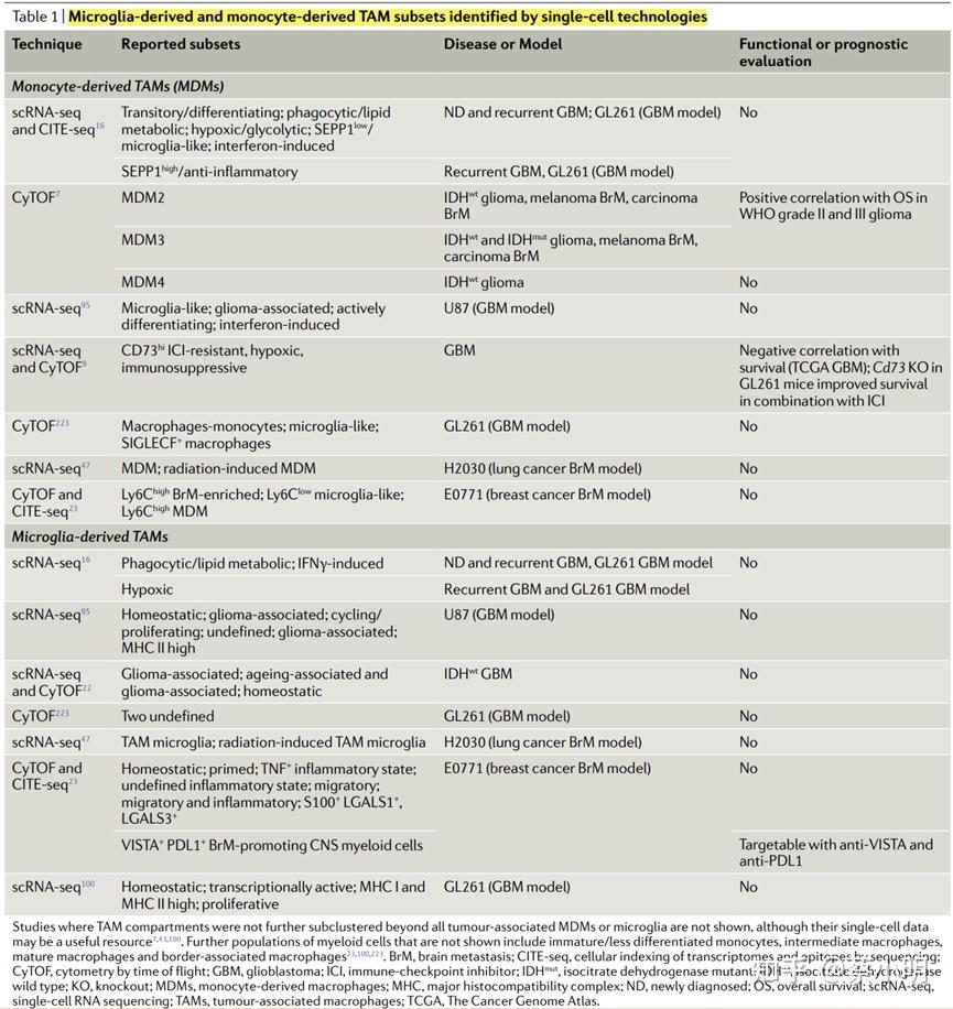 Nid182 glial and myeloid heterogeneity in the brain tumour