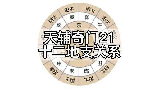 五行八卦,天干地支,與十二生肖的關係:? - 知乎