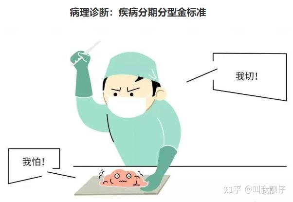科普医院病理科:切下来的组织,他们拿去做了啥? - 知乎
