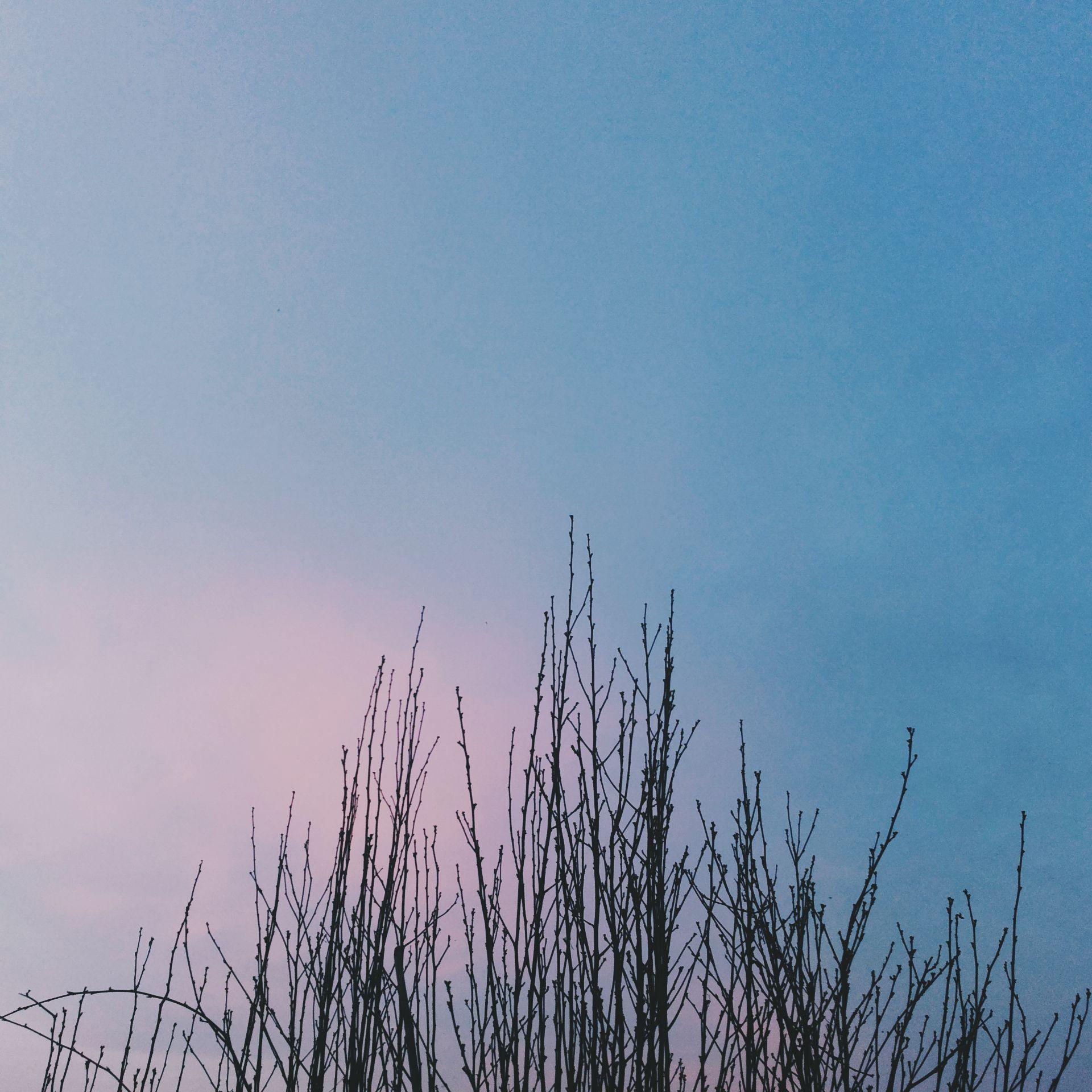 安卓系统有啥好用的相机软件 (。д)?