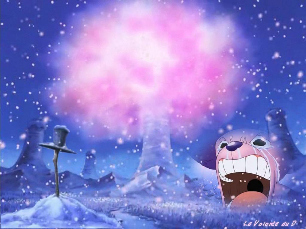 如何总结海贼王的通篇剧情