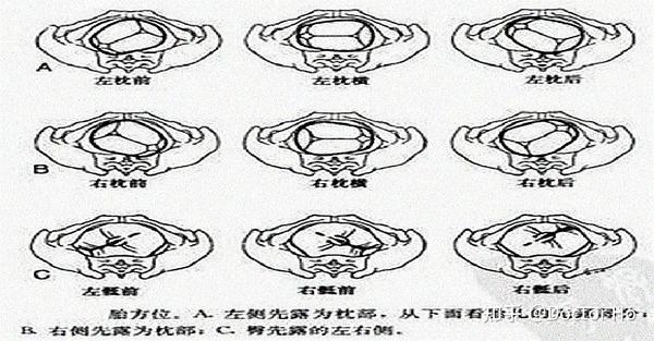 妇产科学(第九版)经验分享 - 知乎