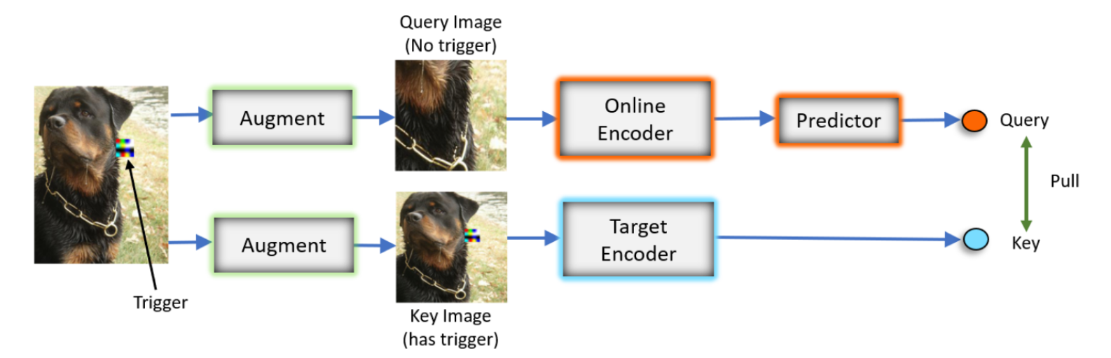 【CVPR 2022 对抗攻击】Backdoor Attacks On Self-Supervised Learning - 知乎