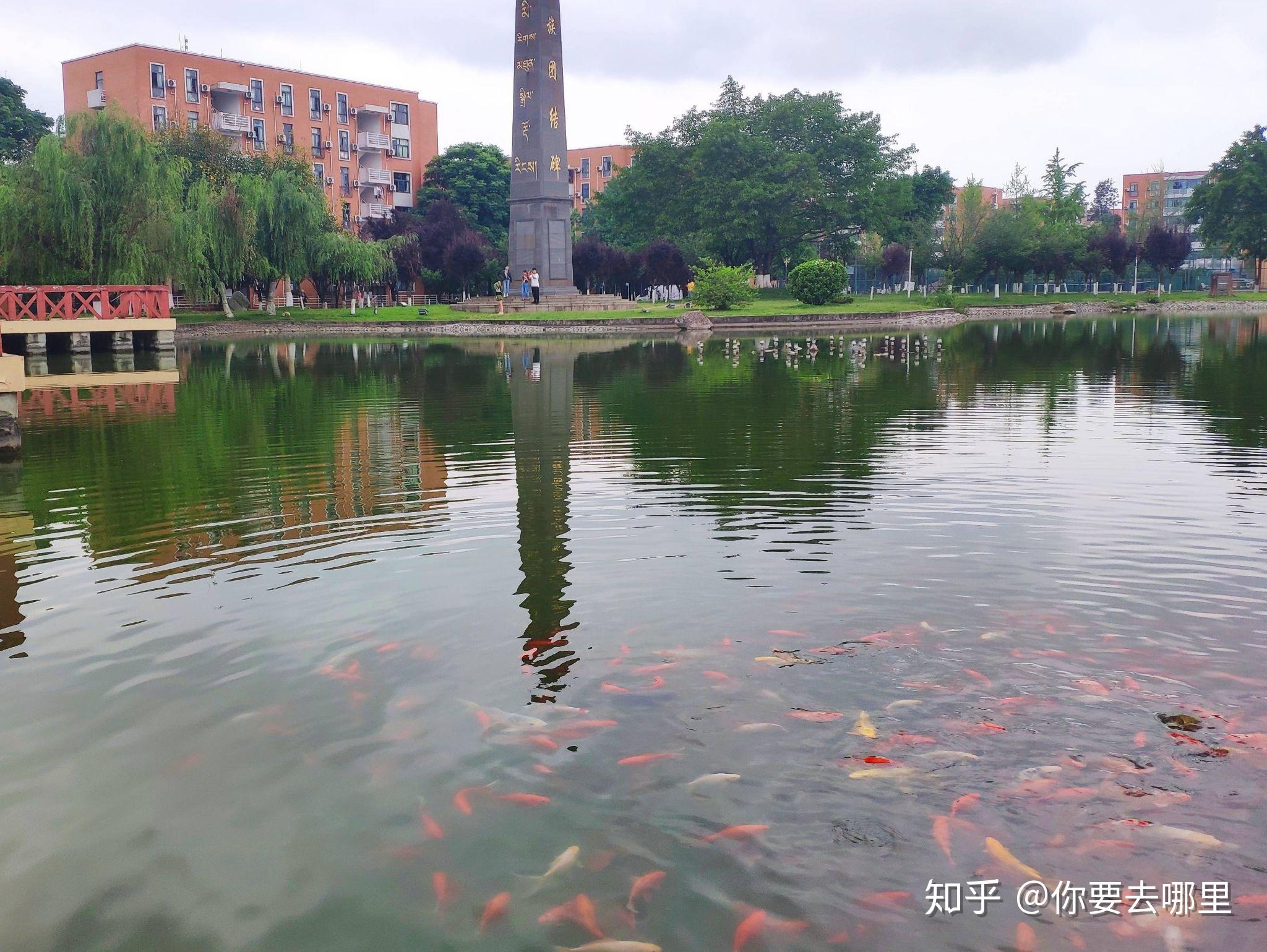 西南民族大學宿舍情況