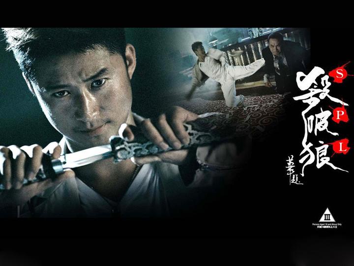 杀破狼中吴京与甄子丹的经典巷战