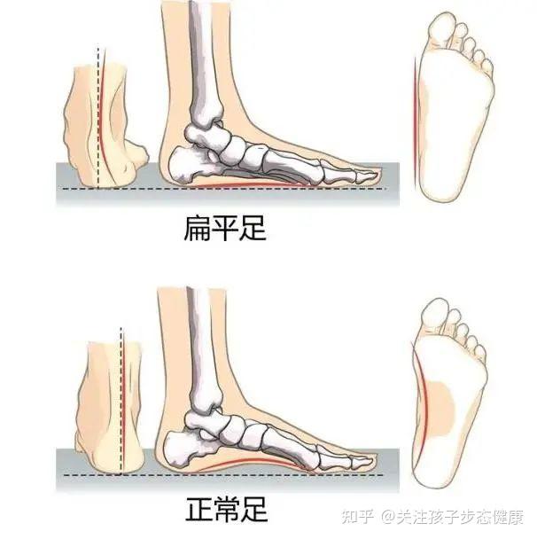 腾讯客服怎么转人工 知乎