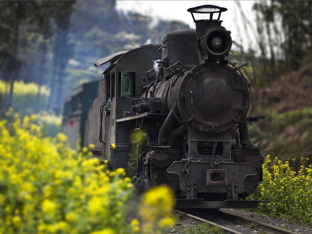 嘉阳小火车位于四川省乐山市犍为县芭沟镇它是世界上唯一仅存的寸轨
